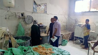 تكثيف الحملات الرقابية على المخابز والمحال التجارية بالإسماعيلية
