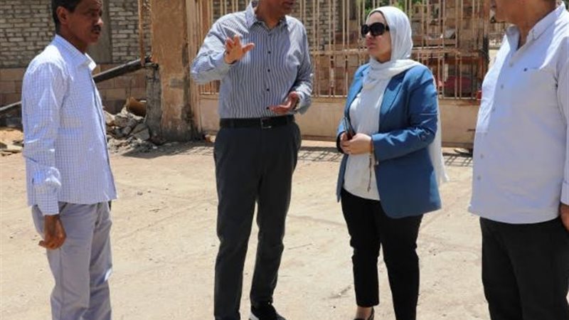 محافظ أسوان