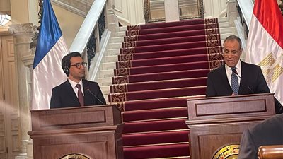 وزير الخارجية يطالب الدول الغربية بالضغط للوصول إلى صفقة لوقف إطلاق النار