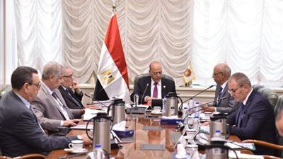 وزير العمل: إنفاق 236 مليون جنيه لتطوير منظومة التدريب والتأهيل