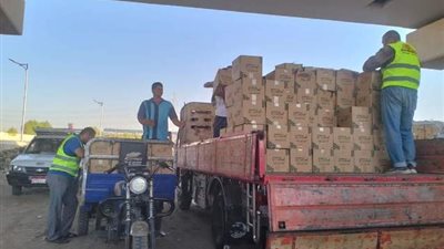 نهضة بنى سويف تتكفل ٣٠%من قيمة كراتين المواد الغذائيه لبنك الطعام