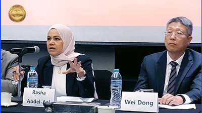 الضرائب: ٢٠٦٦ شركة صينية تعمل في مصر باستثمارات ٨ مليارات دولار