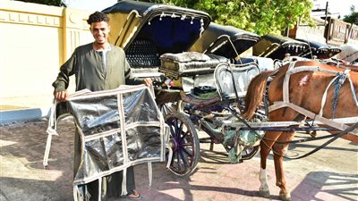 ٥٠٠ حفاضة لعربات الحنطور حفاظا على الوجه الحضارى للأقصر