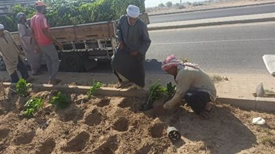 رئيس جهاز سوهاج الجديدة يكشف عن أحدث أعمال الزراعة فى المدينة صور