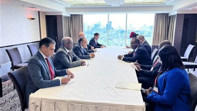 عبد العاطى يلتقى وزير العلاقات الدولية لناميبيا على هامش مؤتمر التيكاد