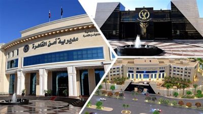 ضبط سيدة نصبت على الغلابة في أموالهم: هسفركم بره تشتغلوا