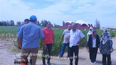 القطاع الزراعى بجنوب سيناء يطلق مبادرة 