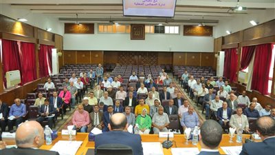 محافظ كفرالشيخ يبحث خطة المحافظة لمواجهة ظاهرة السحابة السوداء