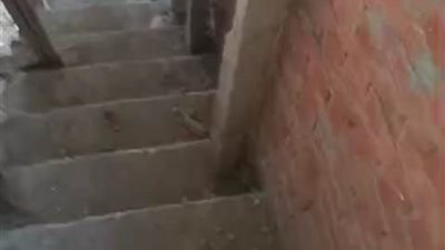 فاعل خير يتكفل بتشطيب شقة وفاء