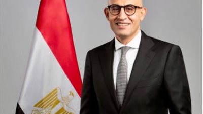 وزير التعليم يكشف سبب تدريس التاريخ والعربي بالمدارس الدولية