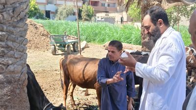 فعاليات وأنشطة متنوعة لمديرية الطب البيطري بالفيوم في شهر أغسطس