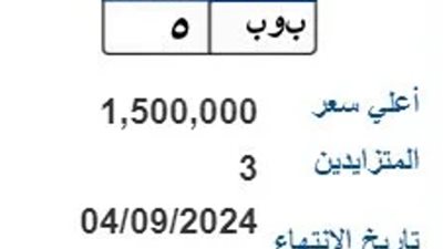 بوب بـ 1.5 مليون جنيه وبطل بـ 350 ألف فى منافسة اللوحات المعدنية