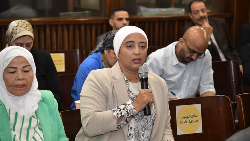 النائبة أميرة أبوشقة