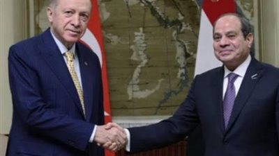 الديهي عن زيارة الرئيس لتركيا :ستؤدي إلى تفعيل العمل الدبلوماسي على المستوى الرئاسي