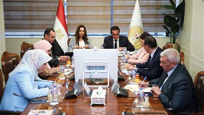 محافظ جنوب سيناء يشارك في اجتماع نائب رئيس مجلس الوزراء