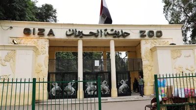 توأمة بين حديقتي الحيوان بالجيزة وجوهانسبرج لتبادل البنوك البيولوجية والحيوانات والابتكارات