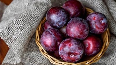 كم حبة من البرقوق يمكنك تناولها يوميًا للوقاية من أمراض العظام