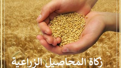 زكاة المحاصيل الزراعية .. متى تجب وكيف تحسب وتوزع!