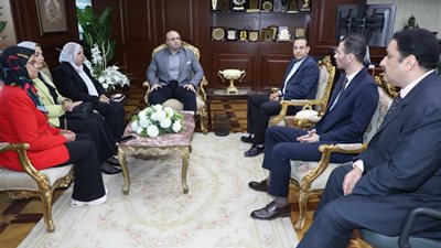 محافظ بني سويف يلتقي لجنة المشروعات الخضراء الذكية