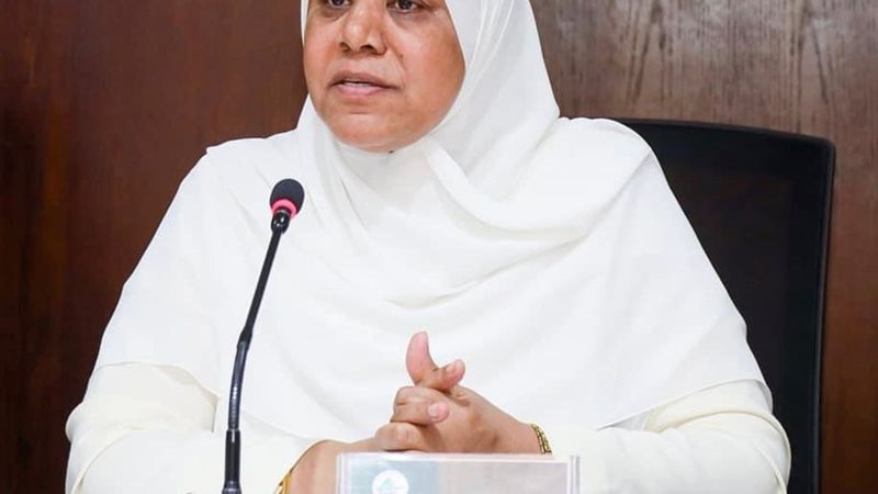 المهندسة نفيسة هاشم،