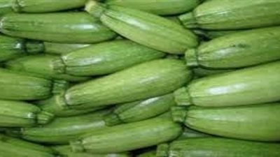 فوائد الكوسا ومضار الإكثار من تناولها