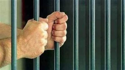المشدد 7 سنوات لعامل لشروعه فى خطف طفل بطوخ