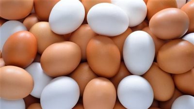 حماية المنافسة يحيل 21 من كبار منتجي البيض للنيابة العامة