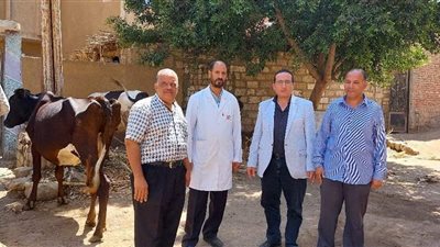 قافلة بيطرية علاجية مجانية وقائية بقرية الصعايدة ببني مزار