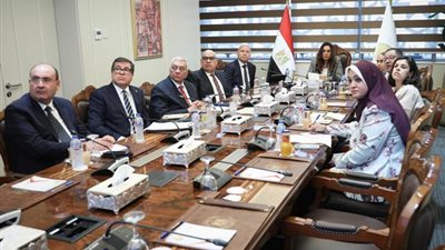 وزيرة التنمية المحلية تناقش مع محافظ القاهرة مقترح تطوير الموسكي