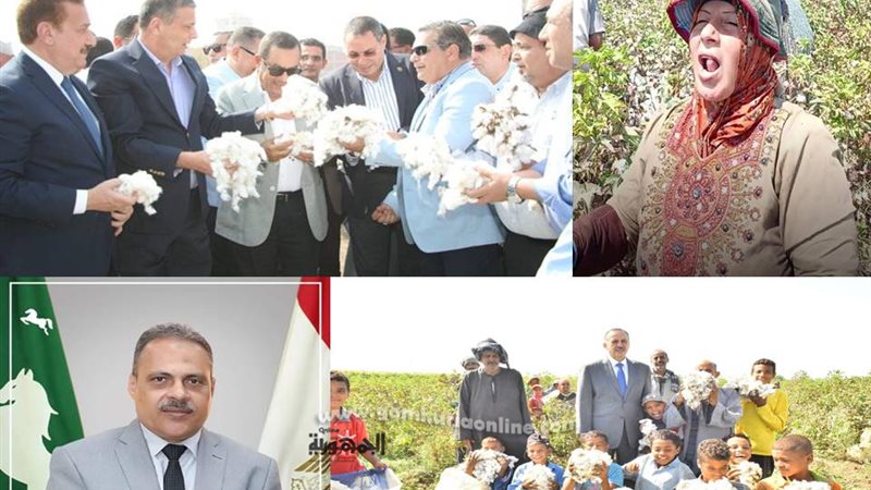 الذهب الابيض يلمع