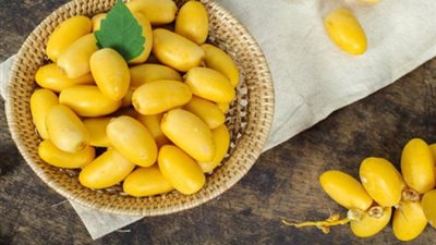 كيف يمكنك حفظ التمور بطريقة صحيحة ؟