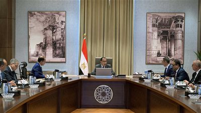 رئيس الوزراء يبحث المعايير والضوابط النوعية لتنظيم سوق السيارات