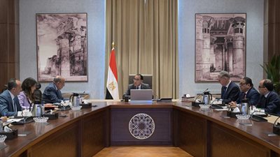 رئيس الوزراء يتابع توفير احتياجات الكهرباء من المنتجات البترولية
