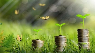 أهم 5 معلومات عن التجارة الخضراء بعد التوجه العالمي تجاهها