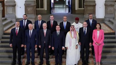 أبو الغيط عن تطبيق حل الدولتين: نحتاج لخطوات عملية وليس مجرد خطاب بلا مضمون