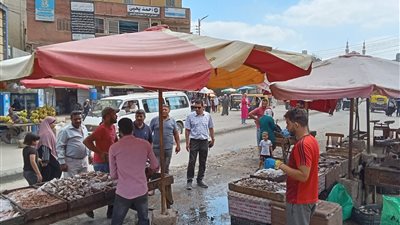 ضبط أسماك ولحوم غير صالحة للاستهلاك الآدمى بكفر الشيخ
