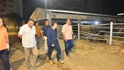 تسخير كافة الامكانيات وأوجه الدعم لتطوير الثروة الحيوانية بأسيوط