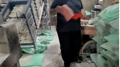 محافظ كفرالشيخ: تحرير 7 محاضر لمخالفات تموينية بقلين