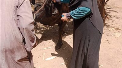 ورشة عمل لتعزيز الحماية من الامراض المشتركة بين الانسان والحيوان