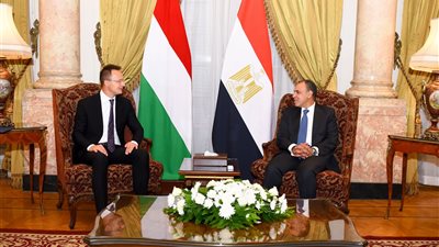 وزير الخارجية: وقعنا مذكرة تعاون مع المجر في مجال تكنولوجيا المفاعلات النووية