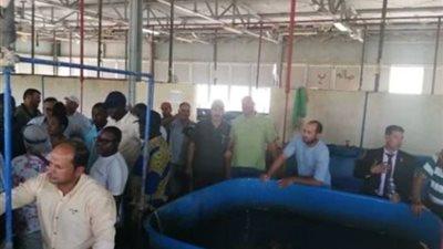 تعاون مصري-إفريقي لتطوير المزارع السمكية وتعزيز إنتاجها