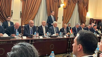 وزير الخارجية يعلن افتتاح ثلاثة أفرع جديدة للجامعات الأمريكية
