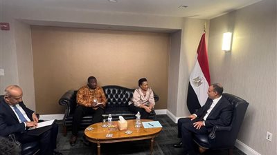 وزير الخارجية يلتقي مع المديرة التنفيذية للآلية الأفريقية لمراجعة النظراء