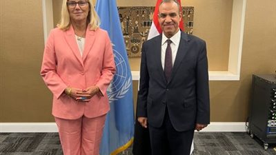 وزير الخارجية يؤكد ضرورة تسهيل وتسريع نفاذ المساعدات إلى قطاع غزة