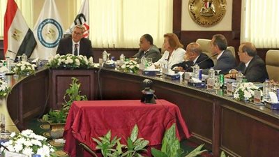 وزيرالبترول:قطاع صناعةالبتروكيماويات يمثل مصدرا أساسيا لإنتاج الخامات