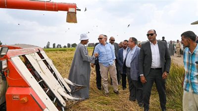انتشار ماكينات حصاد الأرز بالمحافظات.. والقش علف للحيوانات
