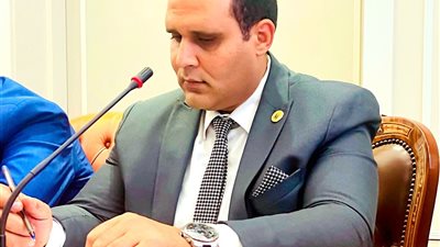 محاكاة مجلس الشيوخ:الإقتصاد المصرى يسير بخطوات صاعدة نحو النمو