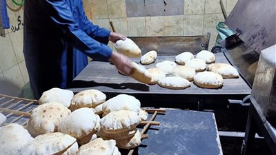 تحرير 13 محضراً لمخالفات تموينية بقلين كفرالشيخ