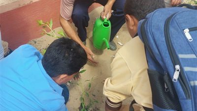 محافظ كفرالشيخ يتابع جهود زراعة الأشجار بالرياض ضمن المبادرة