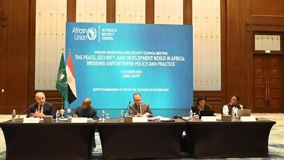 منتدى أسوان.. دعوة لتعزيز العلاقة بين السلم والتنمية في إفريقيا